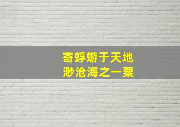 寄蜉蝣于天地 渺沧海之一粟